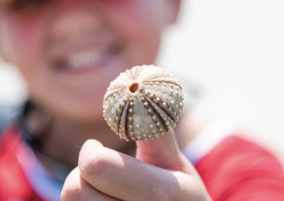 St. Helena Island, Coastal Expeditions, Kids, Camp, Shell, Beach combing